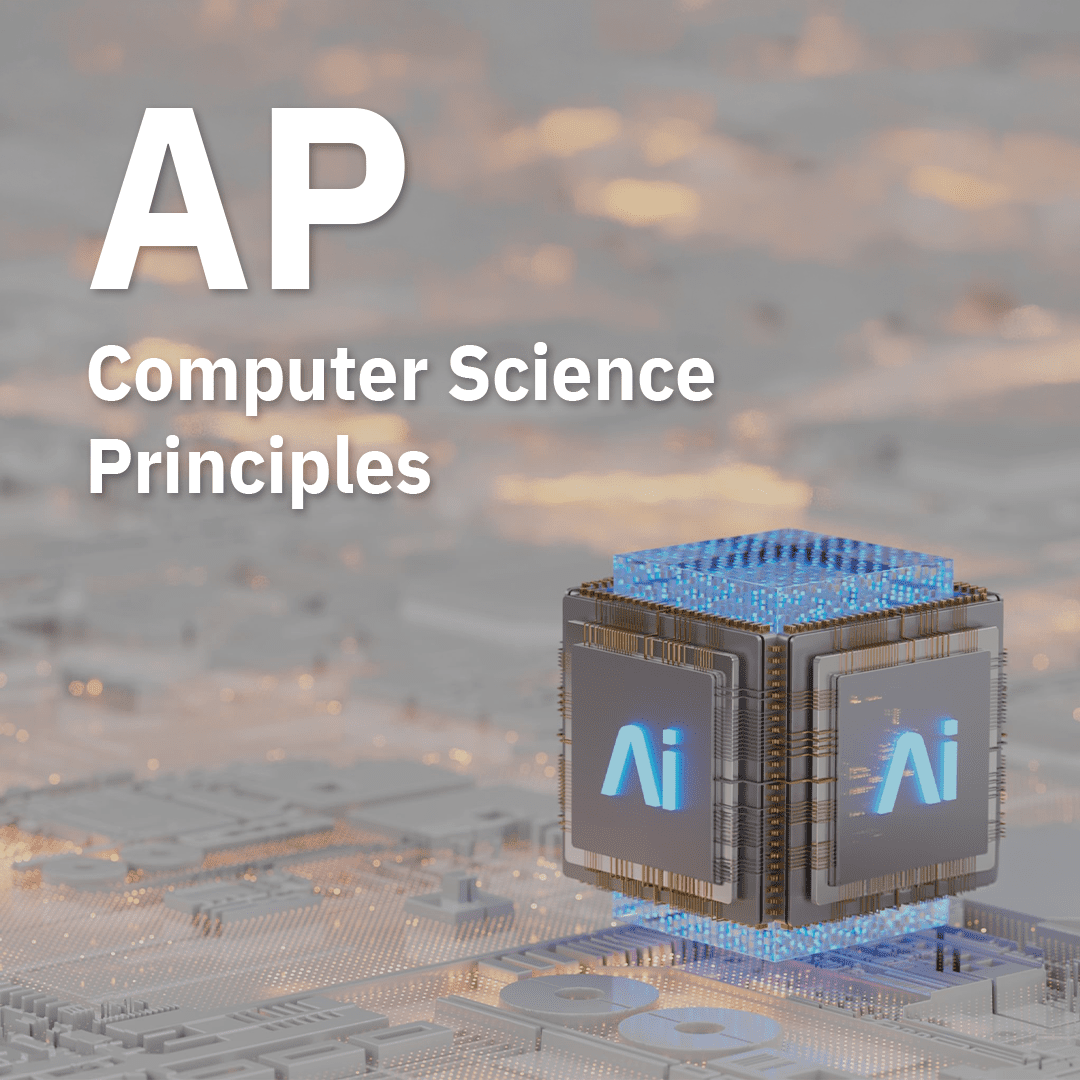AP Computer Science Principles Group Course / 1-1 Course